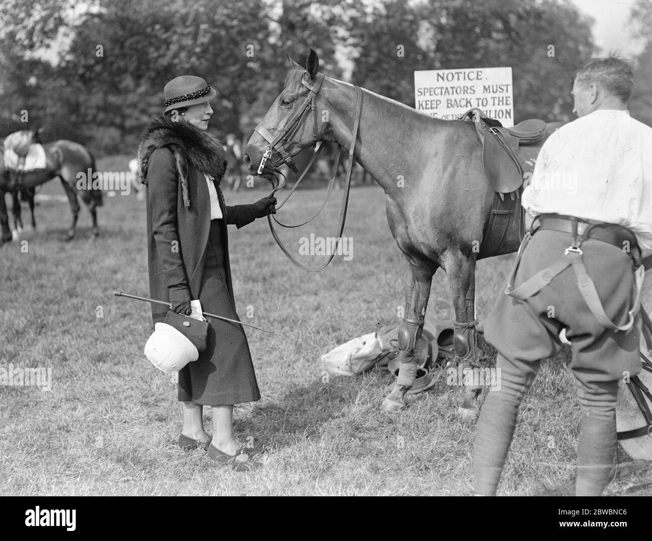 Polo im Ranelagh Club, West London. Beim Spiel zwischen dem, Royal Horse Artillery Subalterns gegen Foston Hall in der Junior Colts Cup Krawatte, hält Frau Daniell ein Polopony, wie es gesattelt wird. 28 Mai 1934 Stockfoto