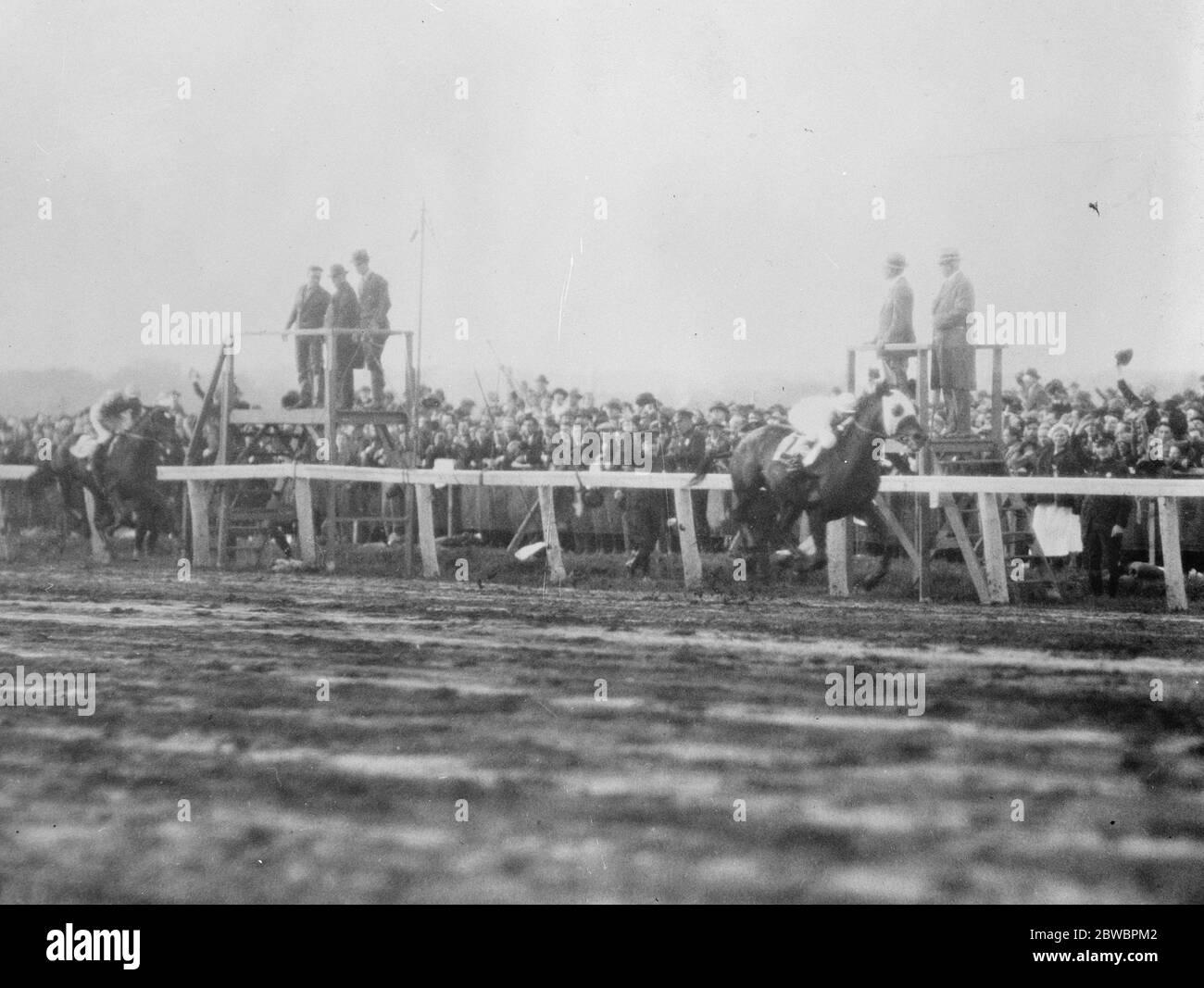 Erste Fotos von der Niederlage von "Papyrus" durch "Zev" im Belmont Park, Long Island. "ZEV" gewinnt durch eine einfache vier Längen. 29. Oktober 1923 Stockfoto