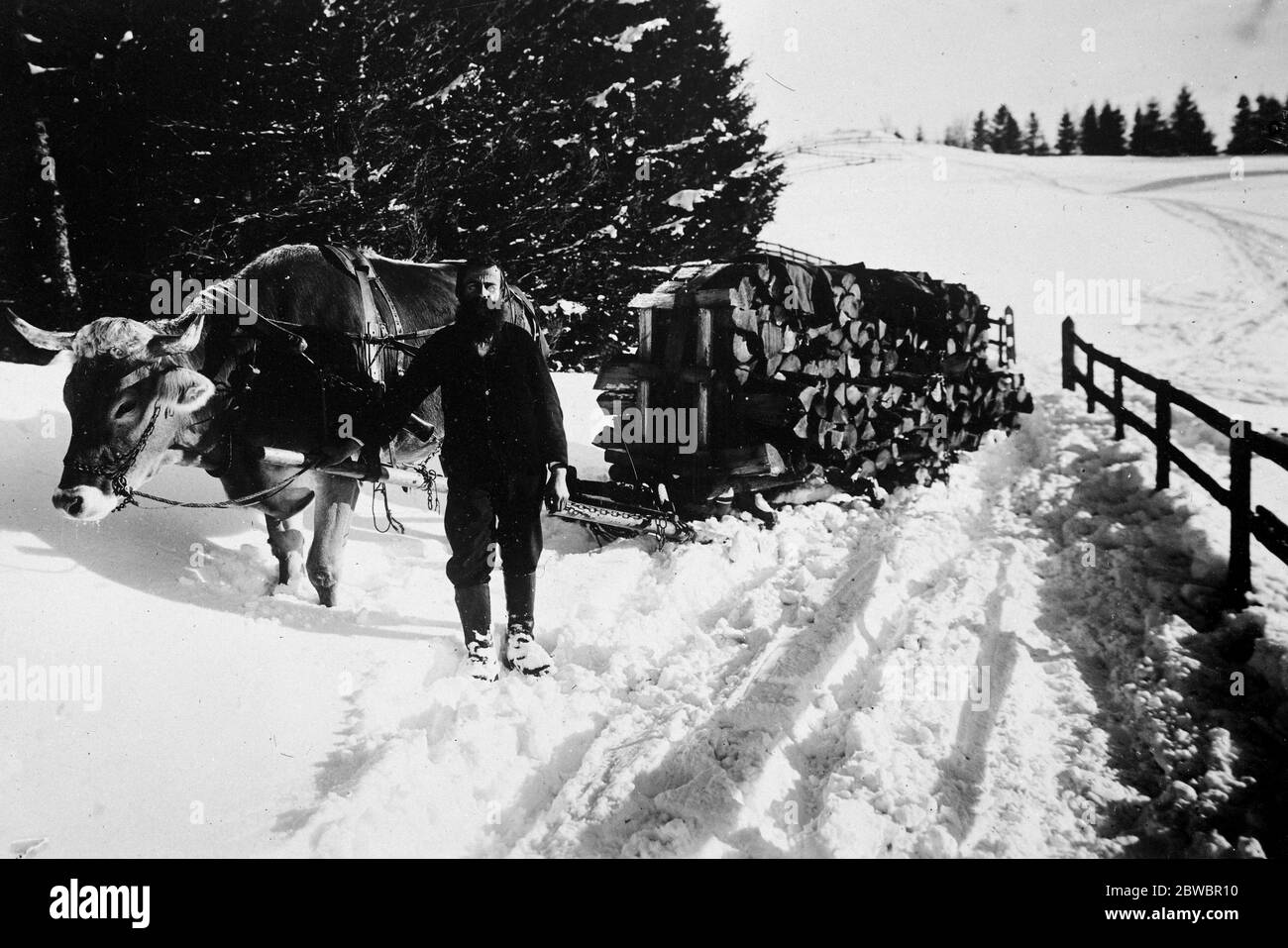 Das Beste daraus machen . Prinz Alexei Koulomsin, einer der vielen aristokratischen russischen Flüchtlinge, die jetzt auf dem Land in der Schweiz ihren Lebensunterhalt verdienen. 27. Januar 1927 Stockfoto
