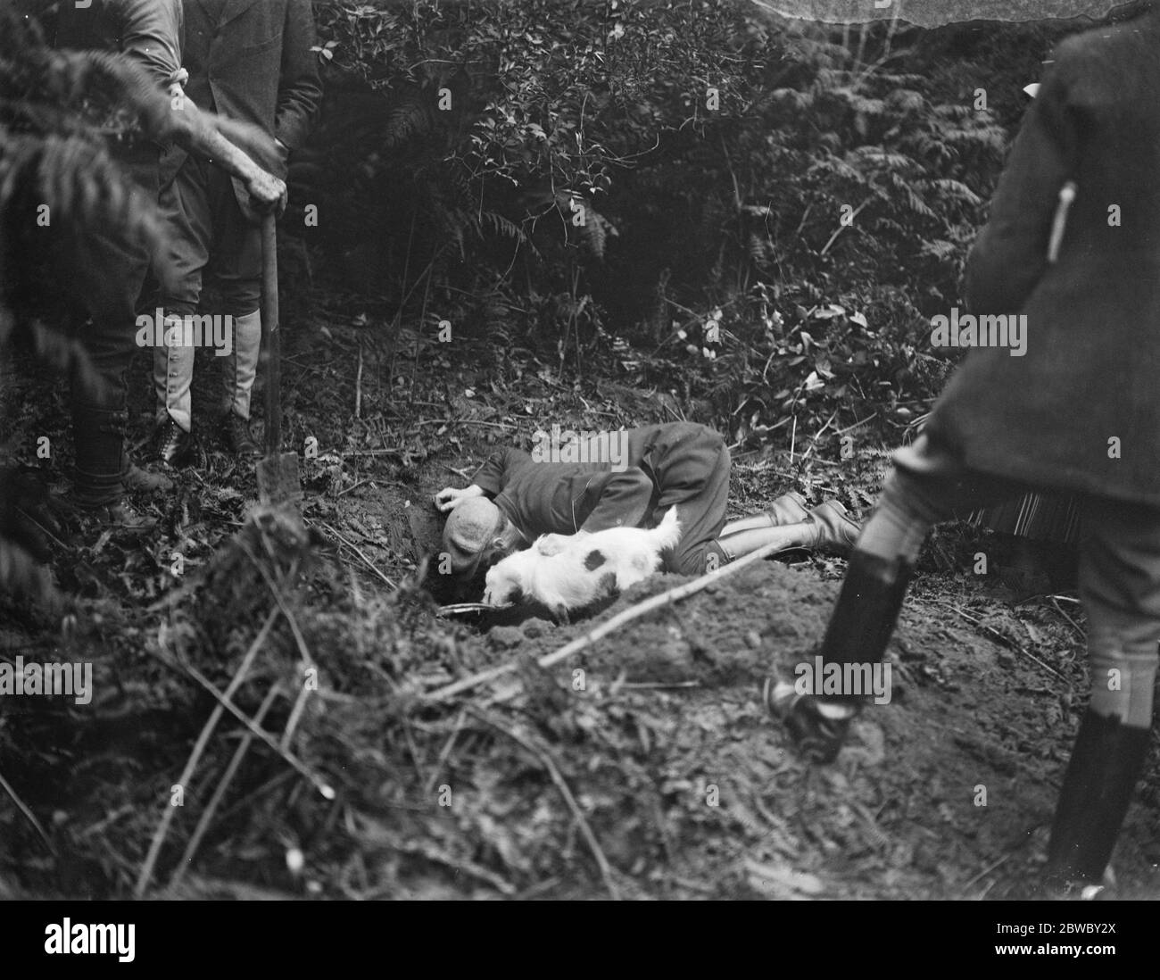 Gesellschaft jagt mit einer Dame M F H zu Boden gegangen. Setzen in den Terrier, um den Jungbolzen aus seinem Verheil zu machen 5 September 1922 Stockfoto
