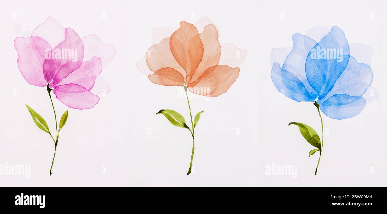Bild Aquarell, Set von drei Blumen von Hand bemalten Aquarellen. Blüten rosa, orange, blau. Stockfoto