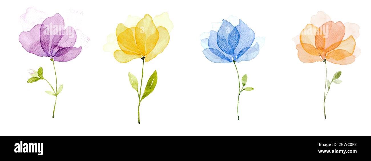 Bild Aquarell, Hand zeichnen, Satz von vier Blumen von Hand bemalten Aquarellen. Lila Blüten, gelb, blau, orange. Stockfoto