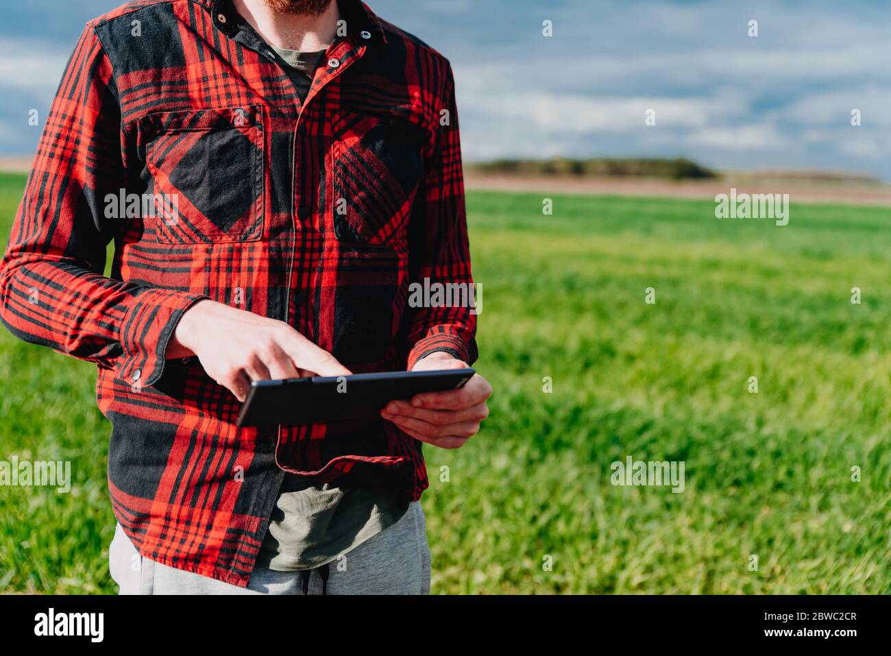 Farmer in rot kariertem Hemd mit Tablet auf grünem Weizenfeld. Anwendung moderner Technologien und Anwendungen in der Landwirtschaft. Konzept der intelligenten Landwirtschaft an Stockfoto
