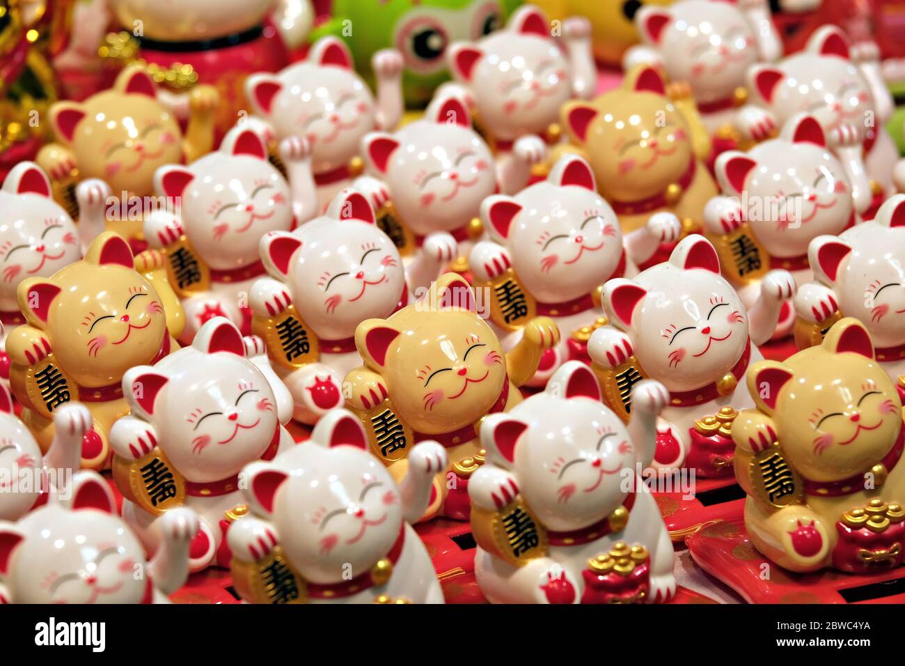Sammlung von japanischen Glückskatzen Stockfoto