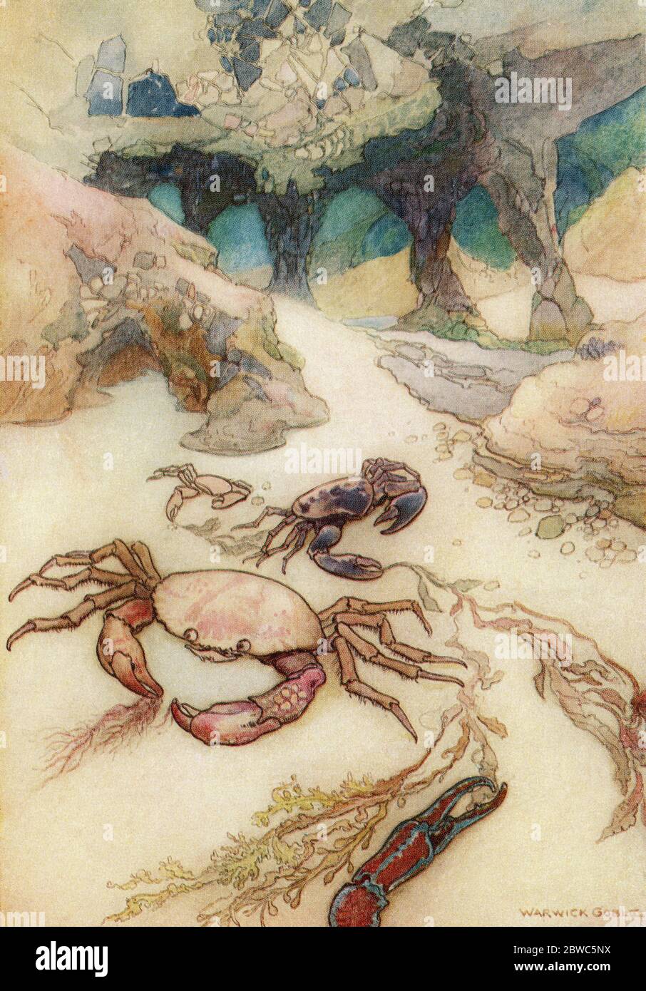 'Tom fand, dass die Insel auf Säulen stand und dass ihre Wurzeln voller Höhlen waren', Illustration von Warwick Goble. Aus den Wasserbabys, veröffentlicht 1922. Stockfoto