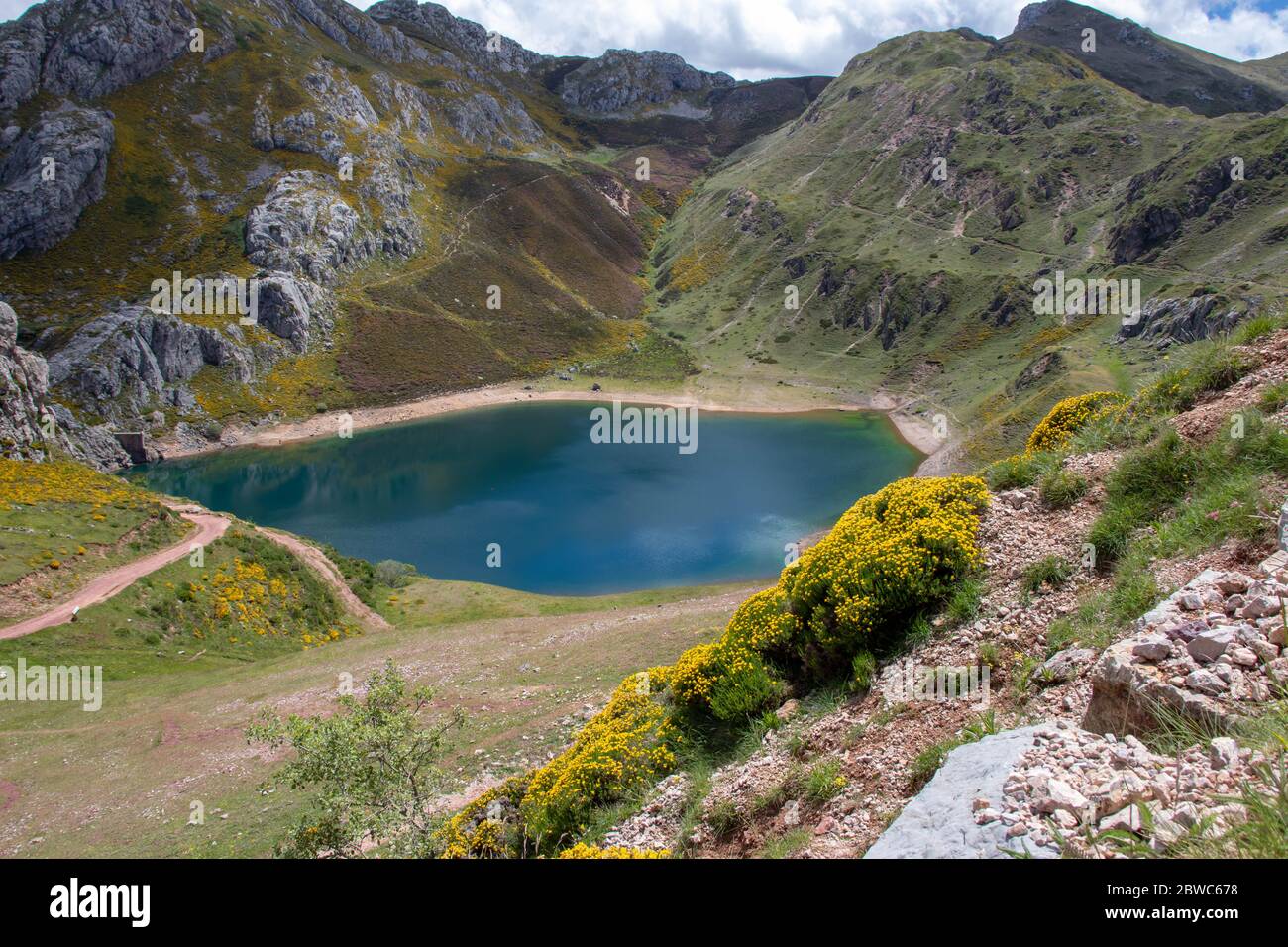 Cueva See im Somiedo Nationalpark, Spanien, Asturien. Saliencia Bergseen. Ansicht von oben aus dem Blickpunkt. Genista occidentalis gelbe Blüten. Stockfoto
