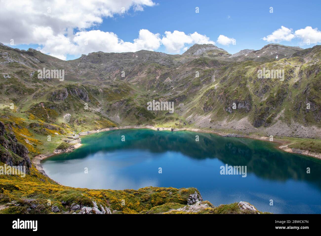 Calabazosa oder Schwarzer See im Somiedo Nationalpark, Spanien, Asturien. Saliencia Bergseen. Genista occidentalis gelbe Blüten. Dunkelblaues Wasser Stockfoto