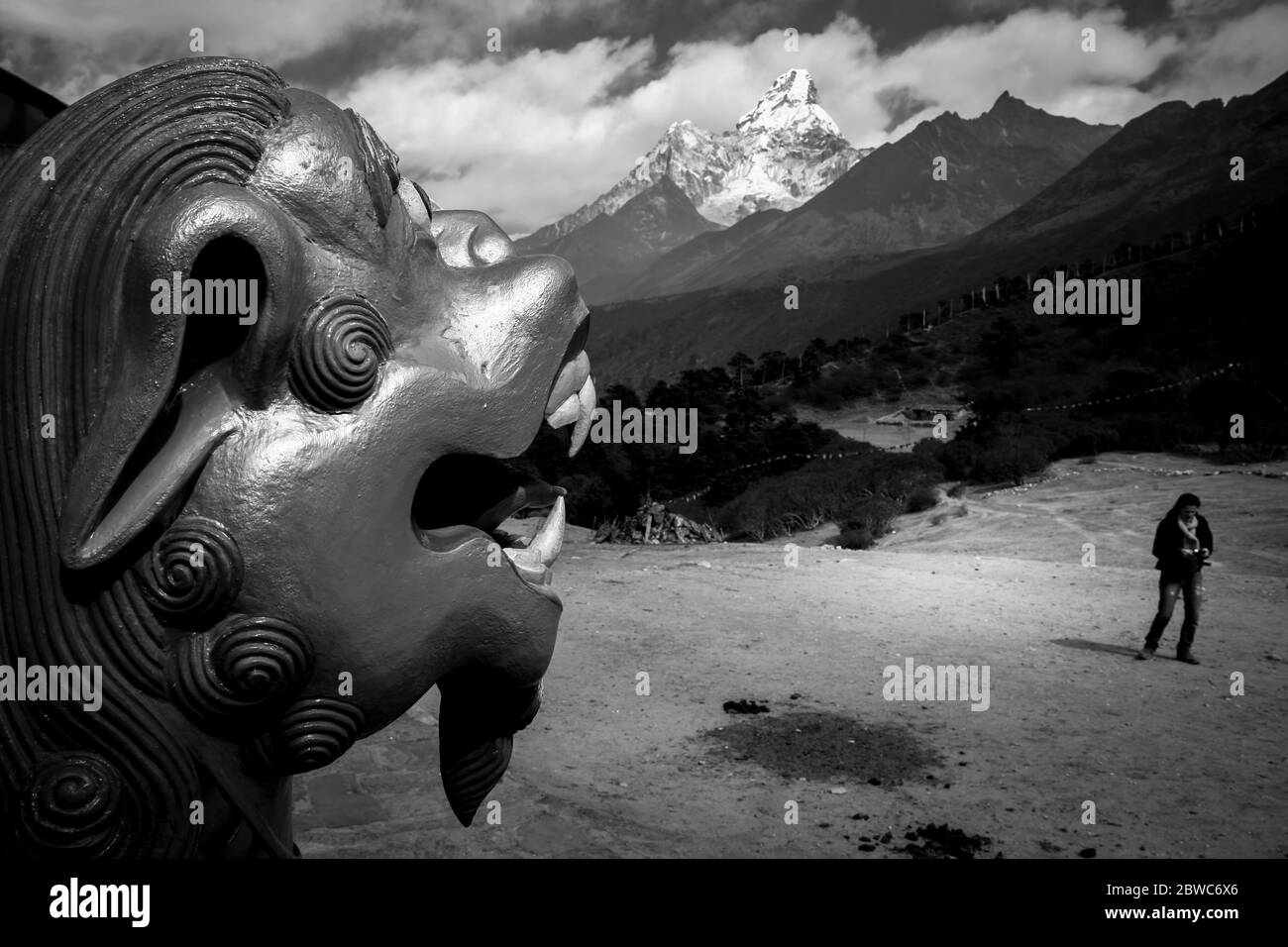 Goldener Löwe in der Everest-Region Stockfoto