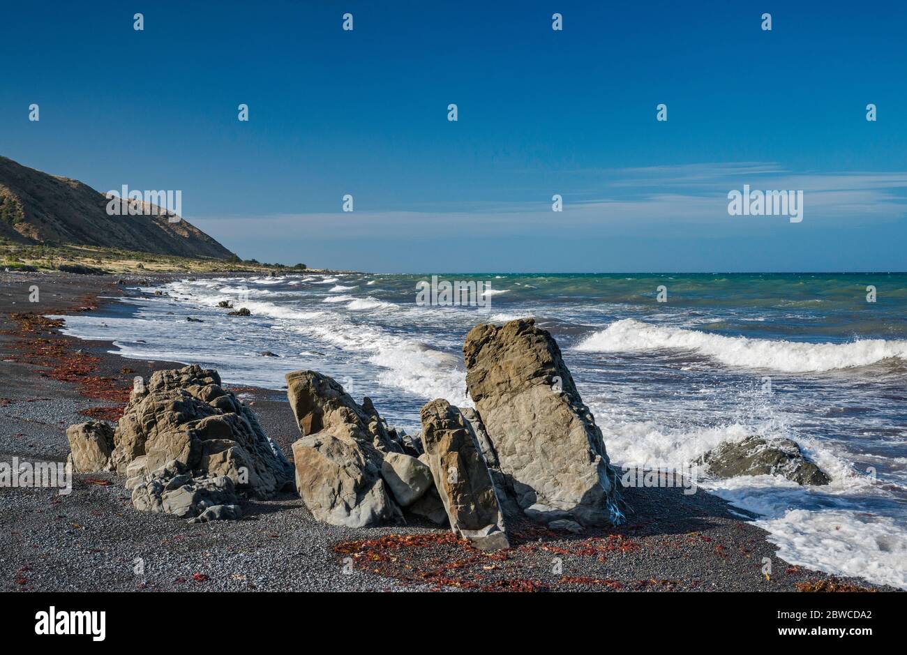 Felsen am Strand in der Nähe von Te Humenga Point, Palliser Bay, Cook Strait, Cape Palliser Road, Wairarapa Coast, Wellington Region, North Island, Neuseeland Stockfoto