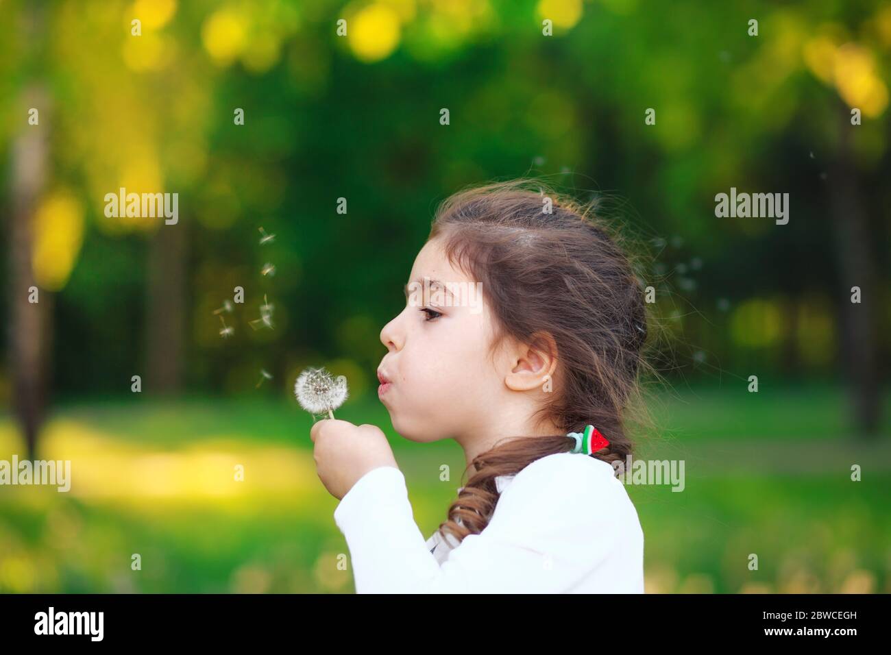 Porträt von Prettyl kleine Mädchen weht Löwenzahn Blume und lächelnd im Sommerpark. Glücklich niedlichen Kind mit Spaß im Freien. Stockfoto