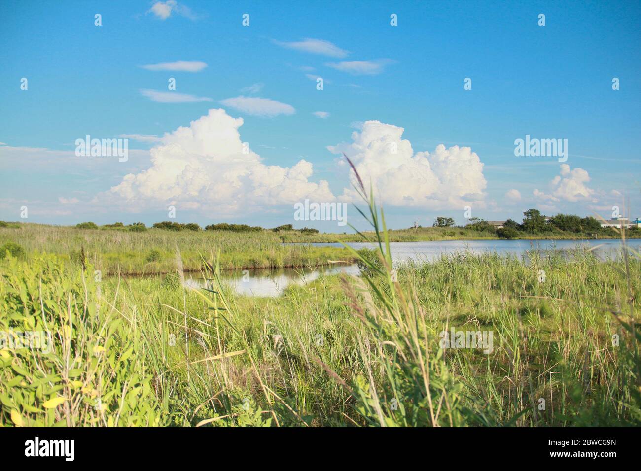 Stürme brauen in der Ferne. Stockfoto