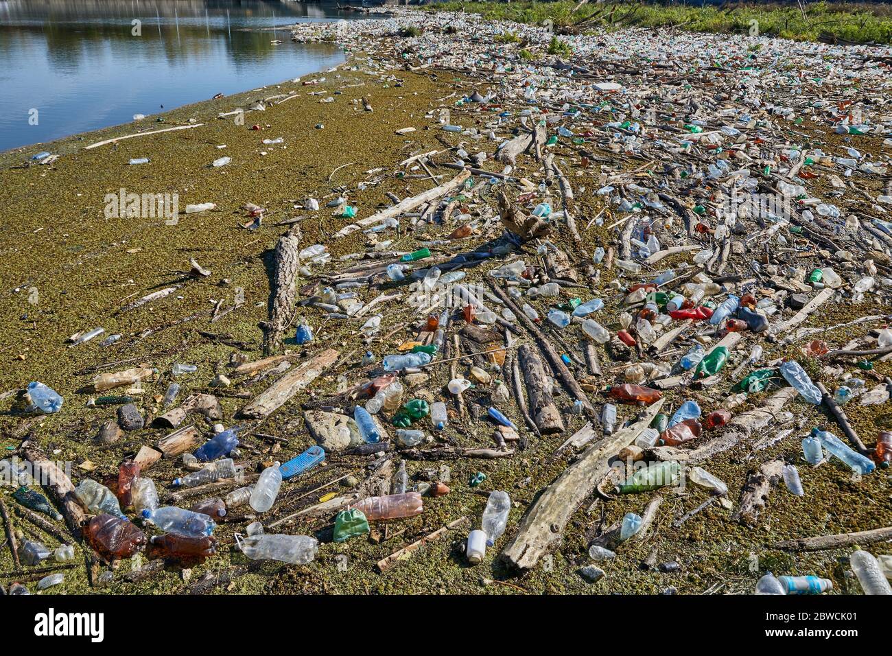 Kunststoffflaschen in Wasser Stockfoto