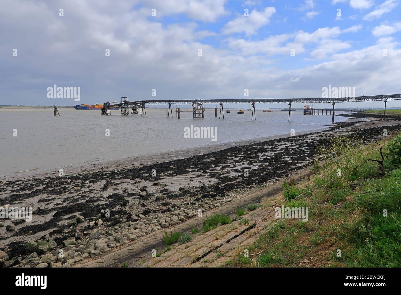 Die schlammigen Ufer entlang der Themse bei Shorne in Kent Stockfoto