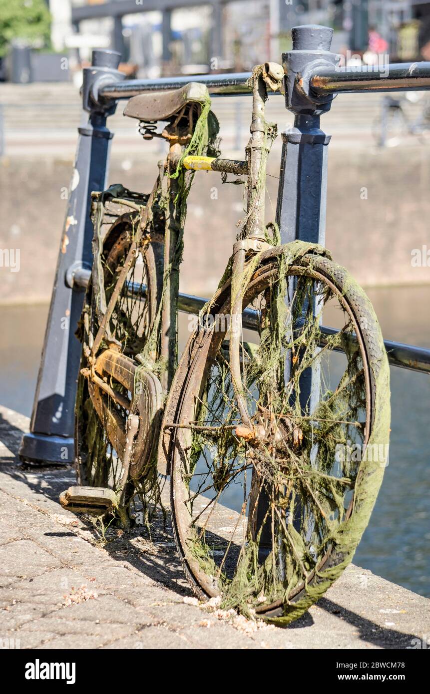 Rotterdam, Niederlande, 27. Mai 2020: Schmutziges und rostiges Fahrrad in einem Kanal gefunden Stockfoto