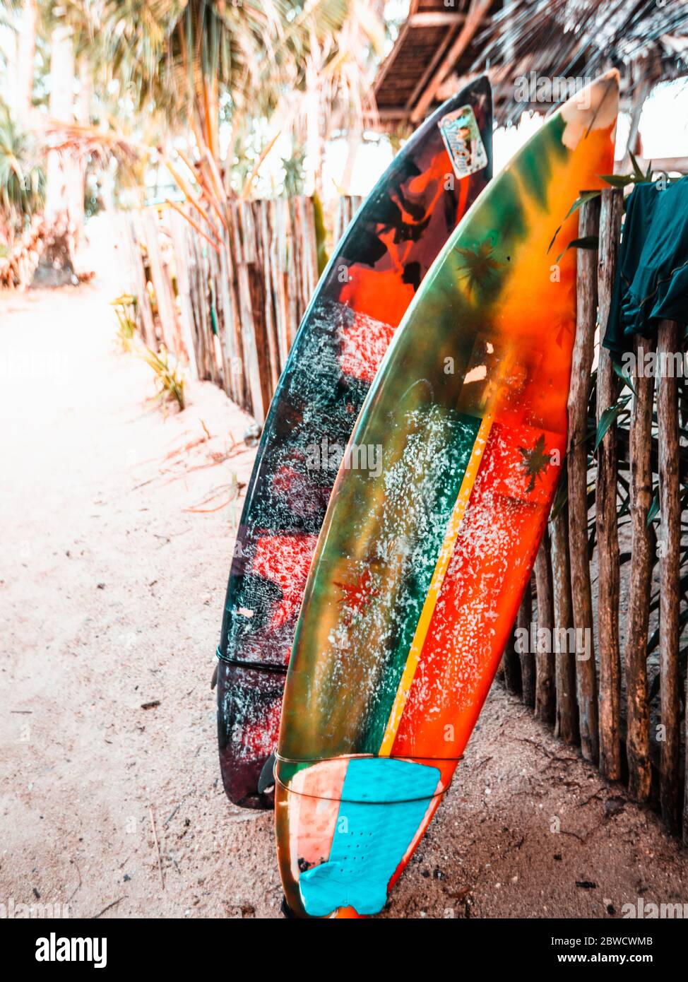 Surfbretter in Siargao Island Stockfoto