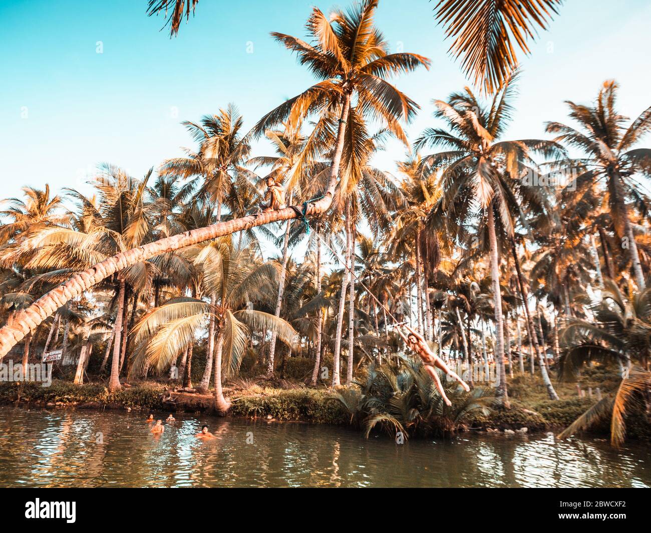 Kokosnussschaukel in Siargao Stockfoto