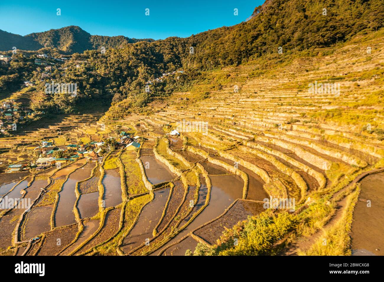 Die Batad Rice Terrassen auf den Philippinen Stockfoto