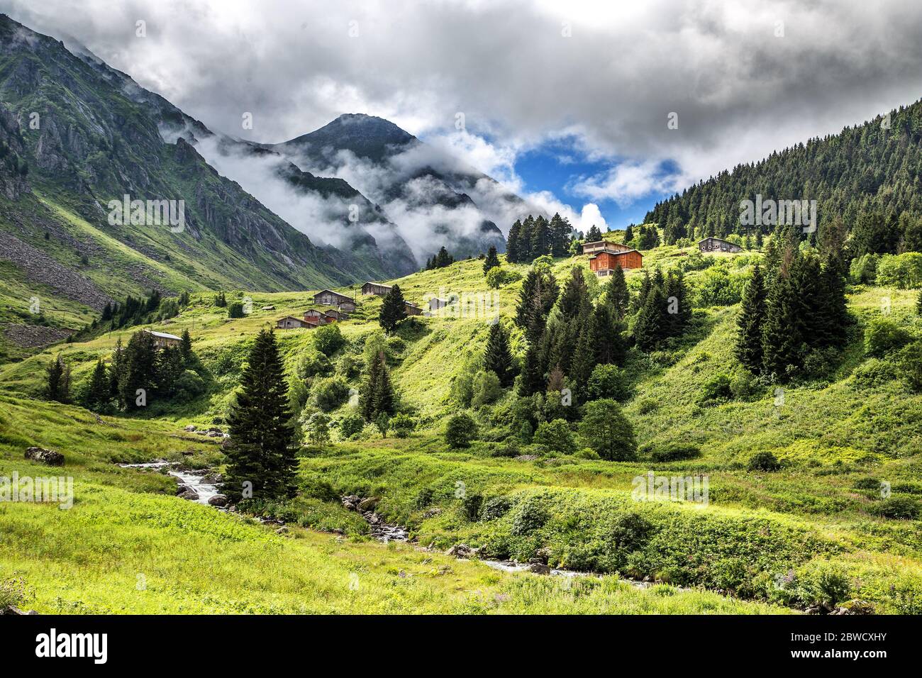 Die herrliche Natur, Nebel, grüne Abdeckung und Holzhäuser der Bergdörfer von Rize ... Stockfoto