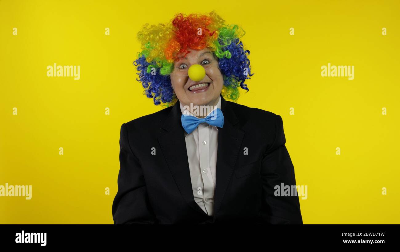Senior kaukasischen weiblichen Clown in bunten Perücke und blaue Fliege machen dumme Gesichter, Narr um. Ältere Frau, die Spaß hat, lächelt, schaut Kamera an. Kopierbereich. Halloween. Gelber Hintergrund Stockfoto
