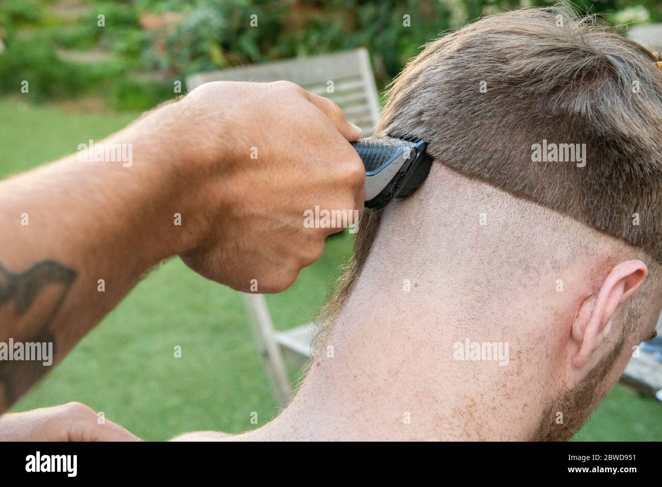 Ein Mann versucht, einem anderen Mann während der Coronavirus-Sperre die Haare zu schneiden, wenn Friseure geschlossen sind, und lässt den Schwanz einer Ratte auf einer Seite des Kopfes liegen Stockfoto