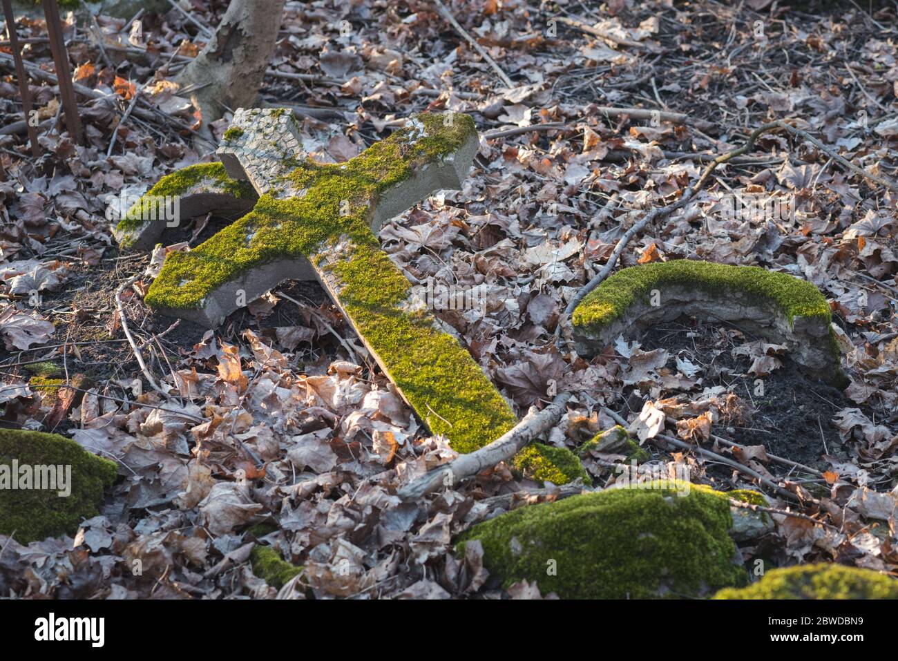Bedeckt mit Moos gefallenes Kreuz eines verlassenen Grabes auf einem alten Friedhof. Smolenskoye Lutheran Friedhof in St. Petersburg. Stockfoto