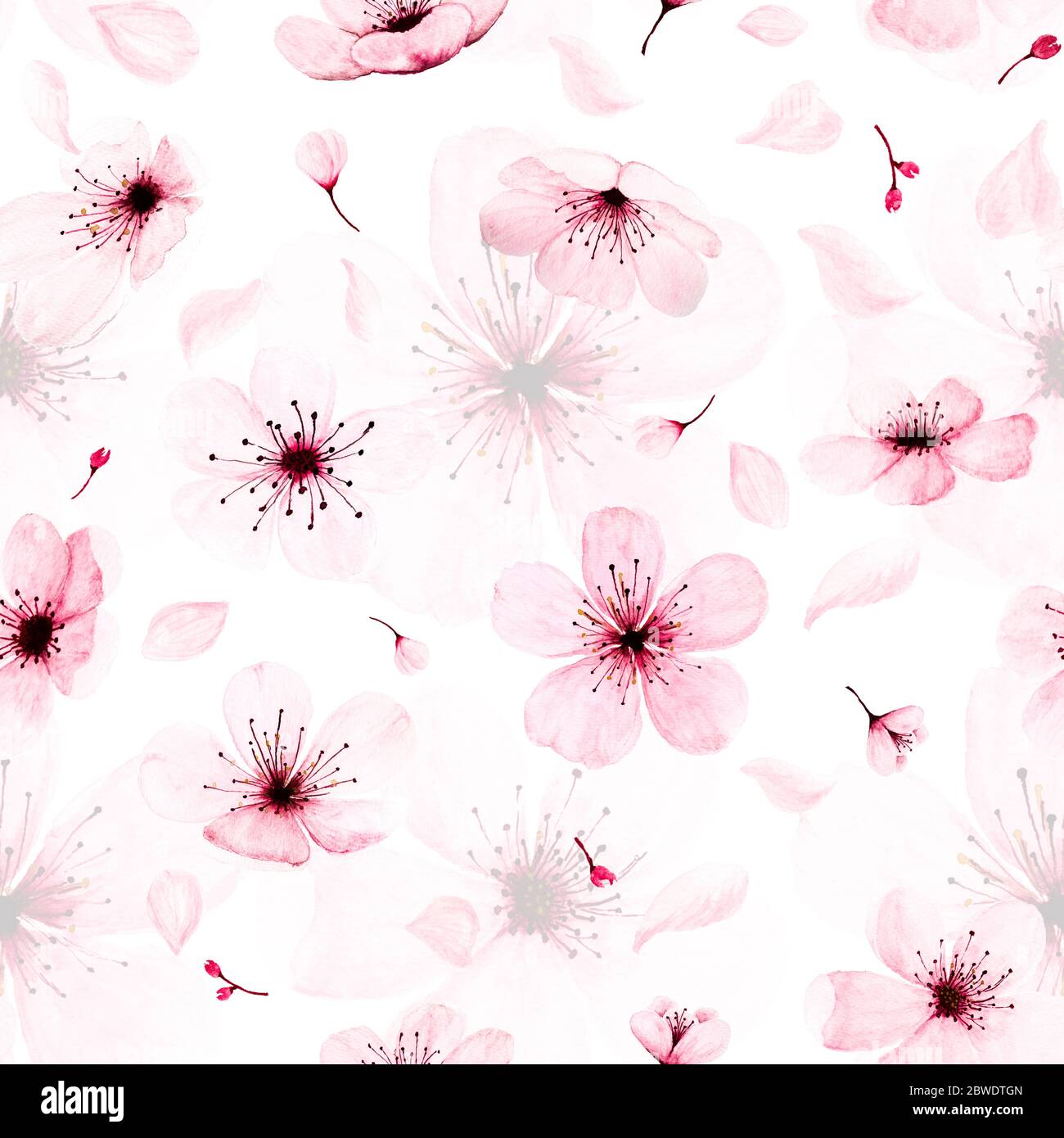 Nahtloses Muster mit Aquarell Kirschblütenästen handbemalt. Frühling oder Sommer Dekoration Sakura Design, kann für Textil, Web, Backgr verwendet werden Stockfoto