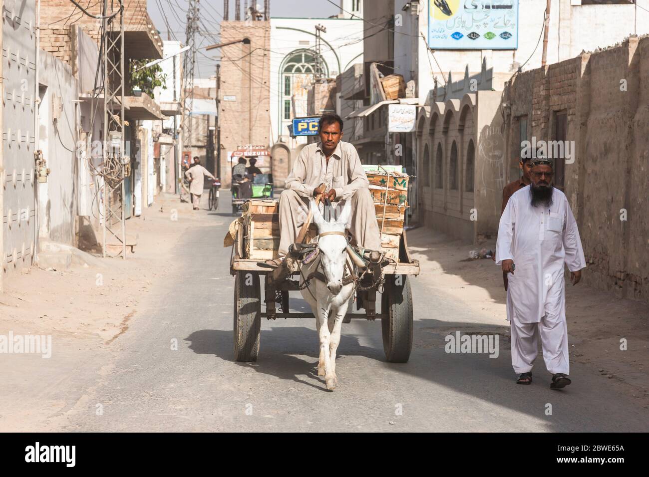 Esel Wagen auf der Straße, Bahawalpur, Punjab Provinz, Pakistan, Südasien, Asien Stockfoto