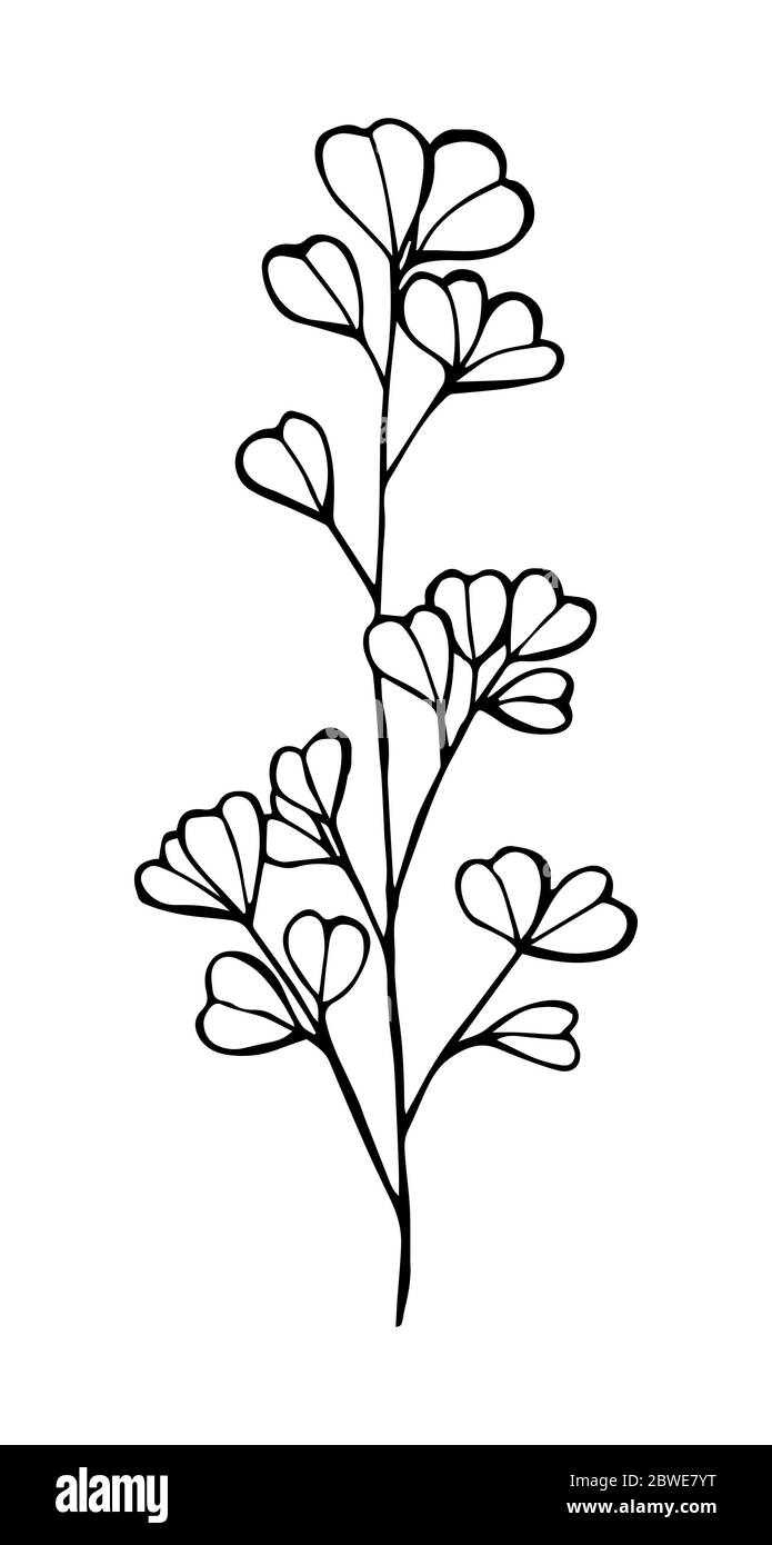 Eukalyptus Konturzeichnung von schwarzer Farbe isoliert auf weißem Hintergrund, Wabenvektor Illustration für Design und Dekor, Tattoo, Aufkleber, Logo, p Stock Vektor