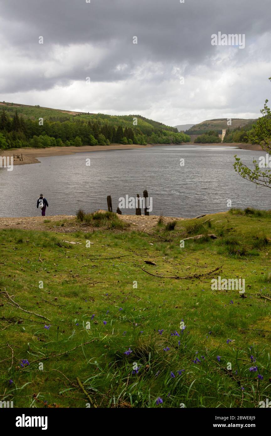 Howden-Staudamm in der Ferne, während ein Spaziergänger über den derwent-Stausee im Peak District, Großbritannien, blickt Stockfoto