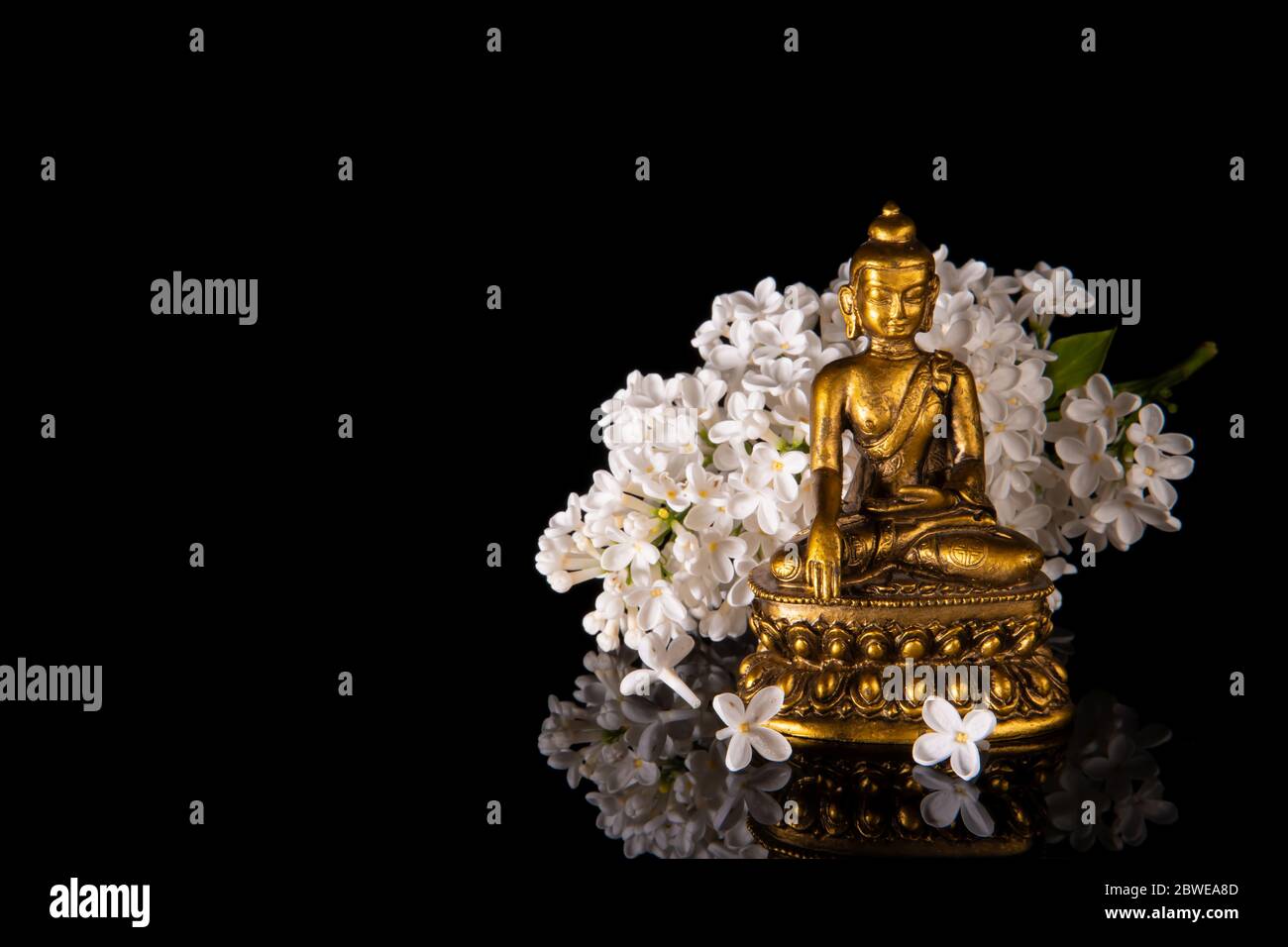 Goldener Buddha, eingerahmt von weißen Fliederblumen auf schwarzem Hintergrund mit Spiegelung Stockfoto