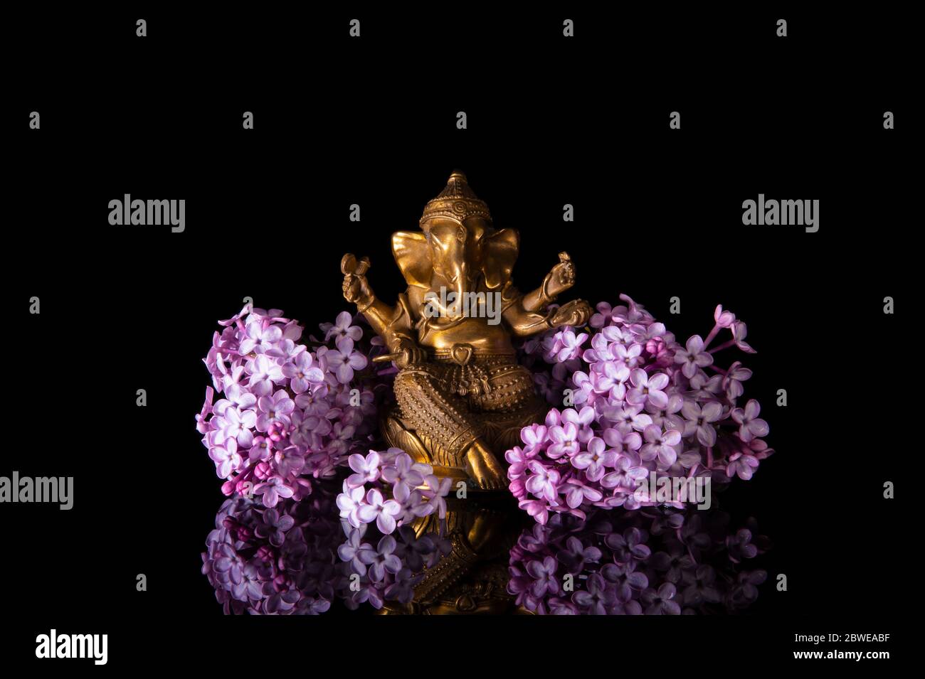 Hindu Gott Ganesha eingerahmt von rosa lila Blüten auf schwarzem Hintergrund mit Reflexion Stockfoto