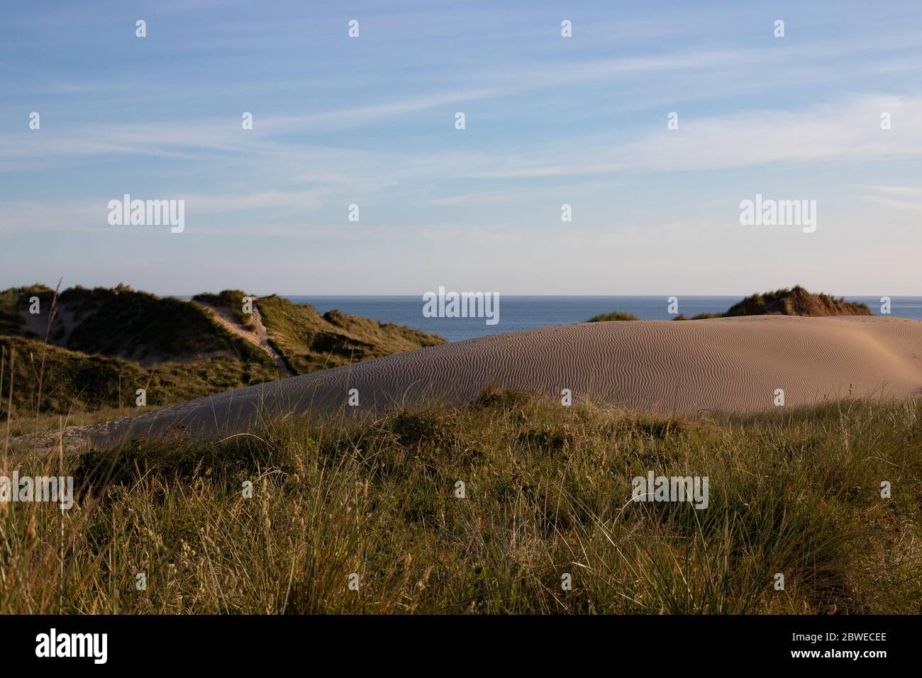 Sanddüne bei Freshwater West, Pembrokeshire. Stockfoto