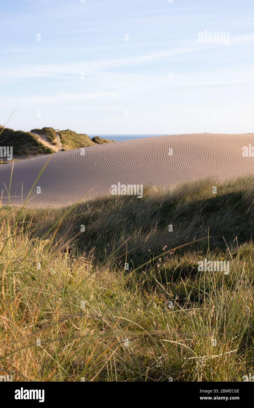 Sanddüne. Stockfoto