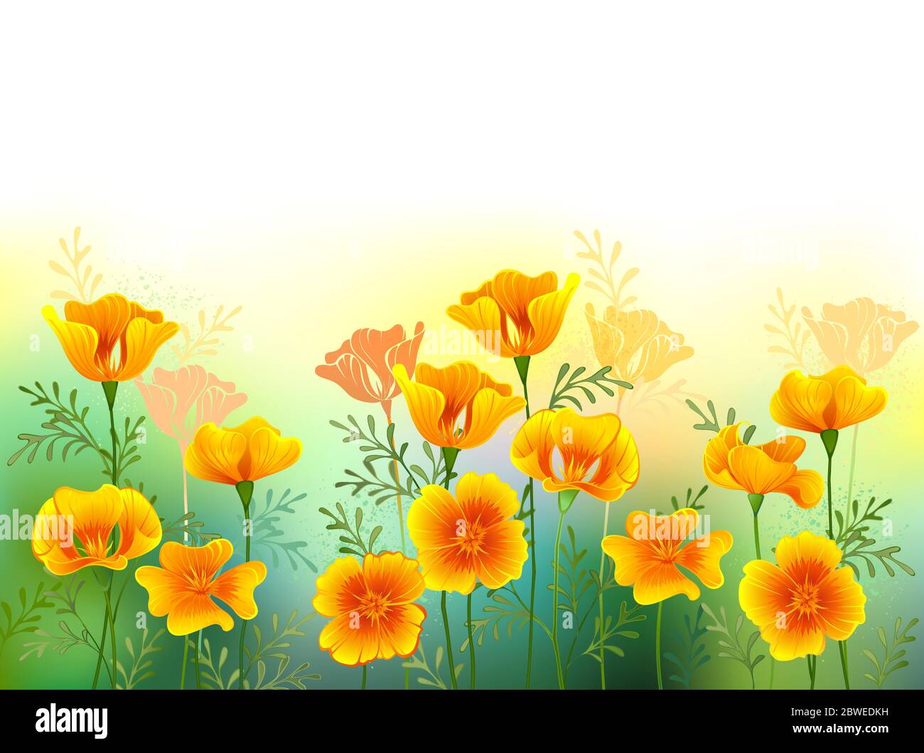 Künstlerisch gezeichnete Lichtung von orangefarbenen, kalifornischen Mohnblumen auf weißem Hintergrund. Wildblumen. Stock Vektor
