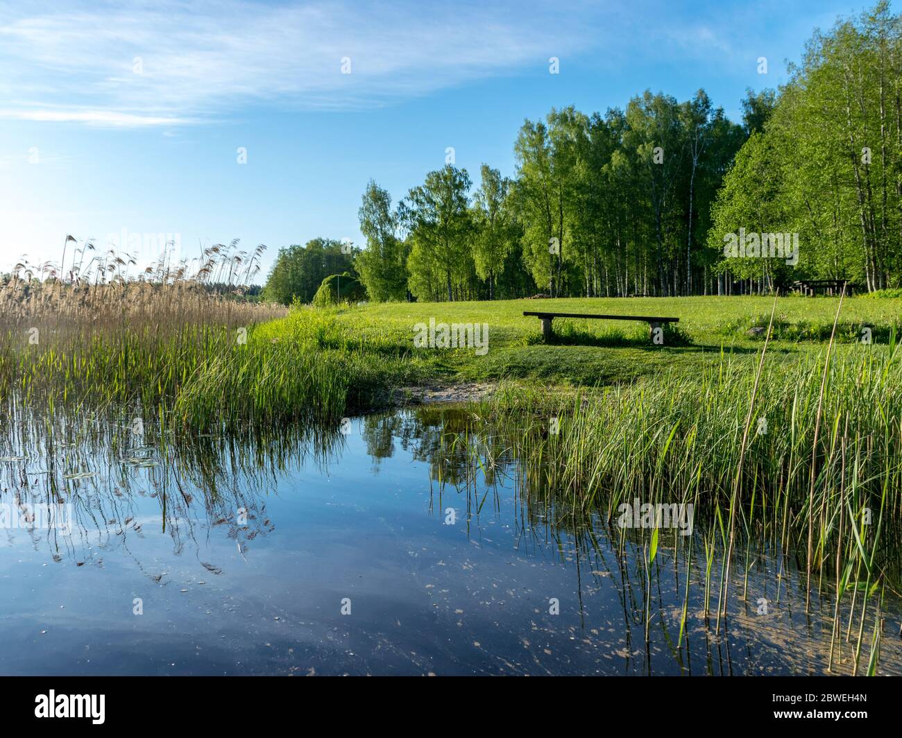 Schöne Flussufer mit Bäumen und frischem grünen Gras, hellen Frühlingsmorgen am Wasser Stockfoto
