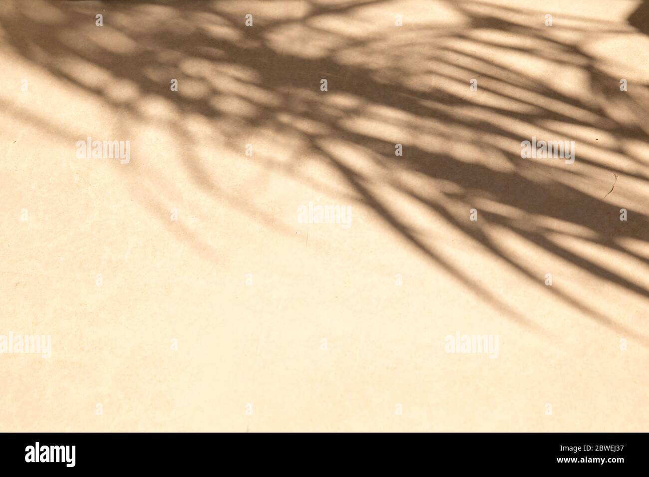 Tropische Palme hinterlässt Schatten auf beige Wand strukturierten Hintergrund. Sommer-Trend-Konzept. Stockfoto