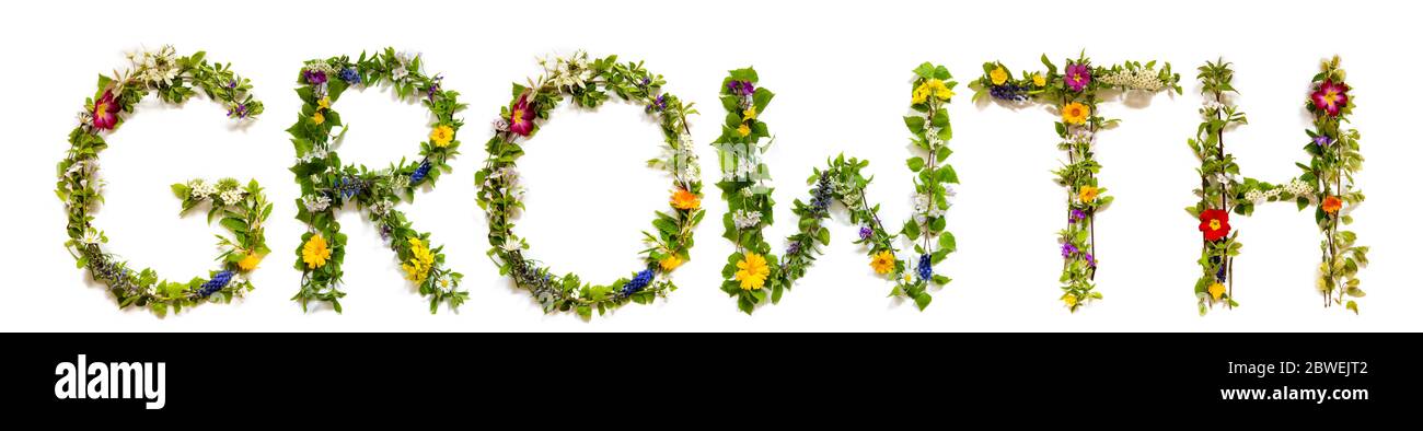 Blumen- Und Blütenbrief Aufbau Der Worthoffnung Stockfoto