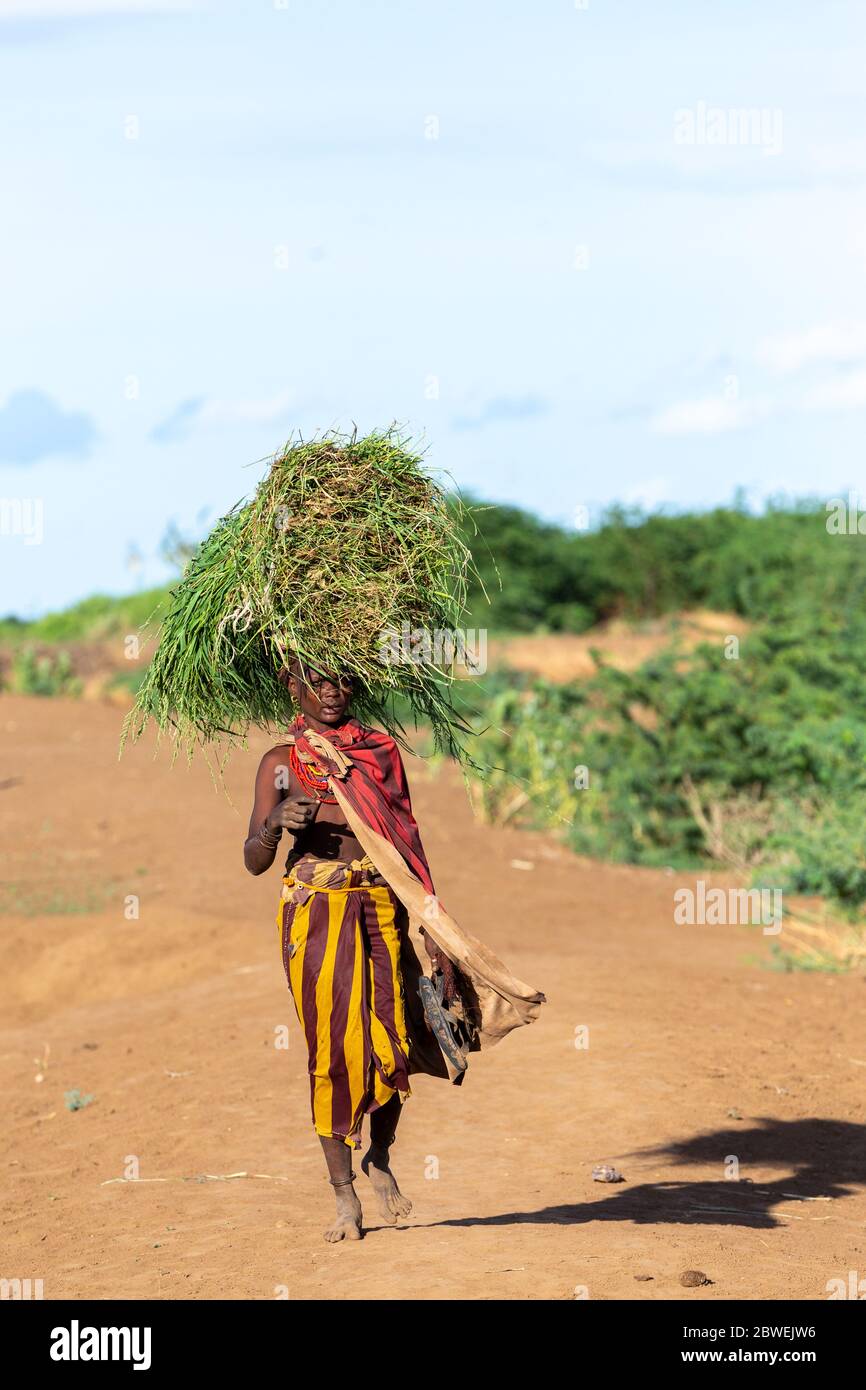 Omorate, Omo Valley, Äthiopien - 11. Mai 2019: Frau aus dem afrikanischen Stamm Dasanesh trägt tef auf dem Kopf. Daasanach sind die cushitischen ethnischen Gruppen inhab Stockfoto