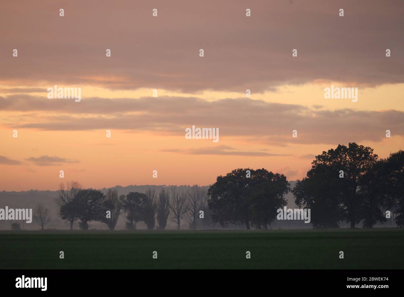 Umbrische Landschaft, Italien, im Licht des späten Nachmittags mit leichtem Nebel, mit Bäumen und Feldern im Winter Stockfoto