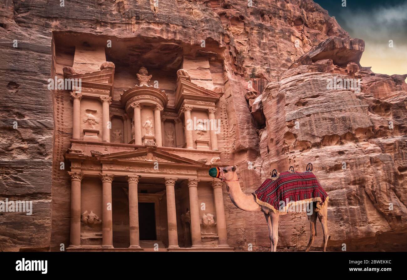 Warten Kamel vor Al Khazneh, die Schatzkammer. Petra, Jordanien. Stockfoto