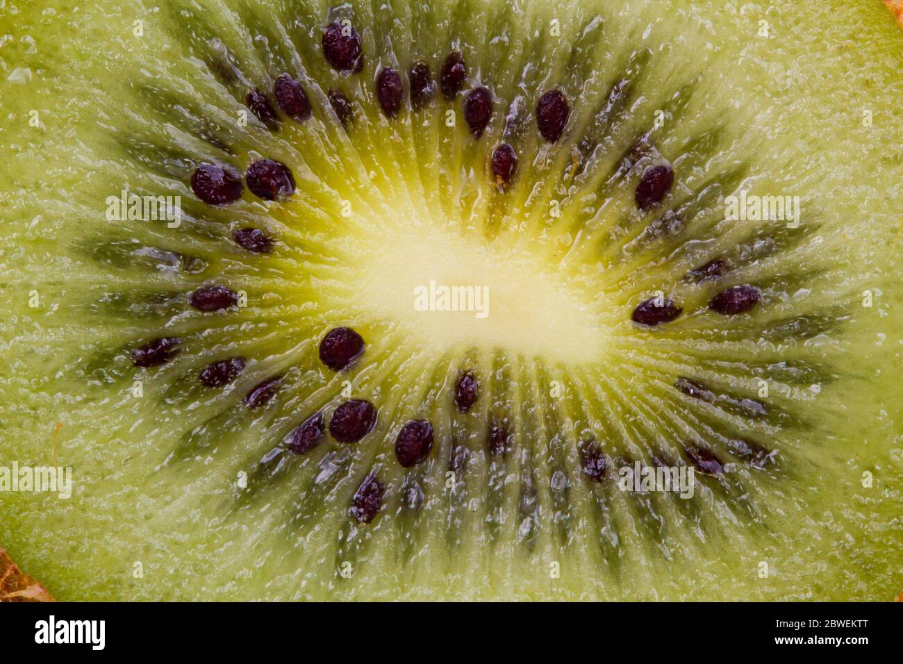 Kiwi-Fruchtschnitt. Makroaufnahme von Lebensmitteln. Stockfoto