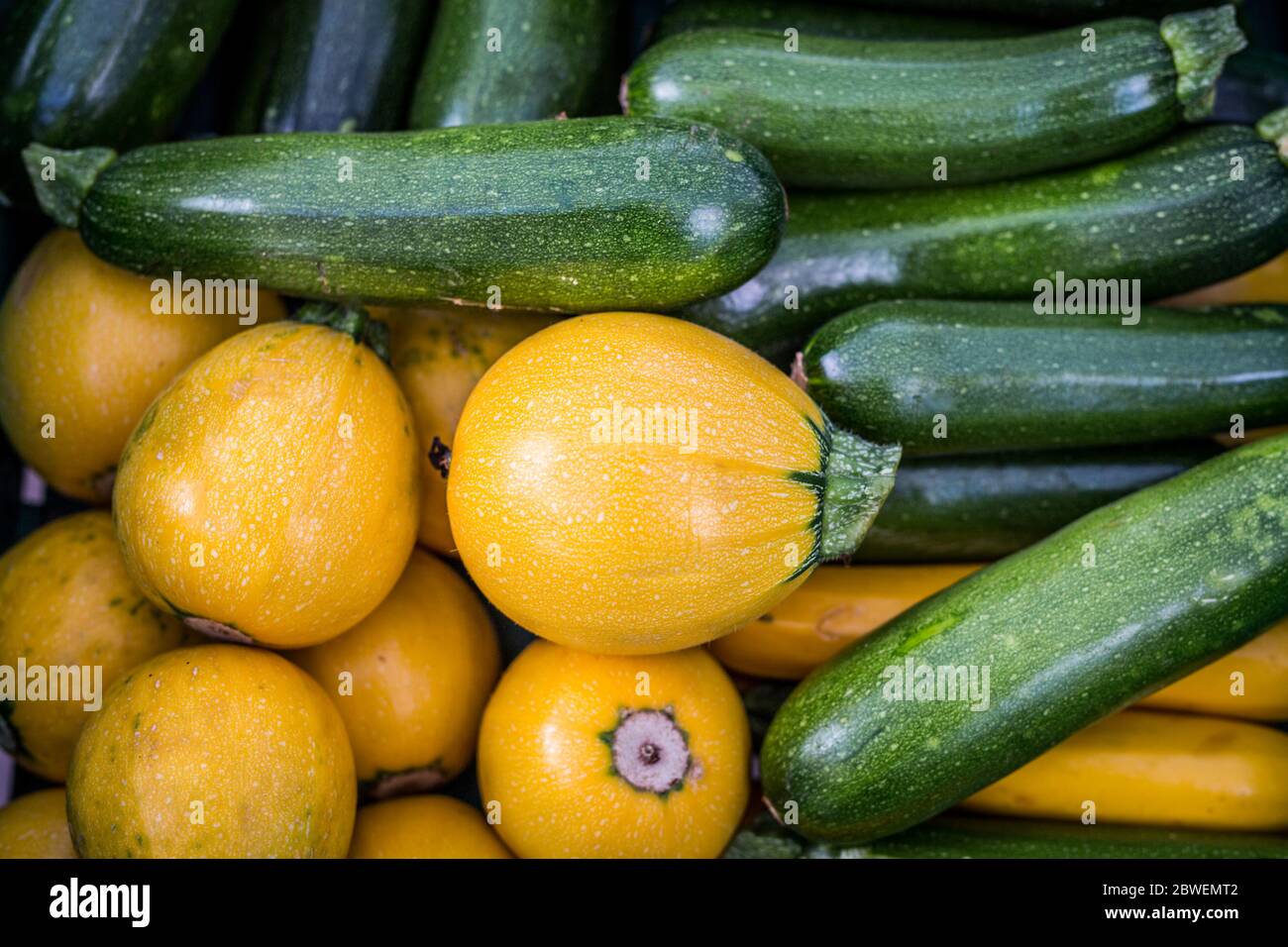 Frisches Gemüse, gelber Kürbis und grüne Zucchini im Gemüsemarkt. Künstlerische Gemüse Essen Hintergrund Stockfoto