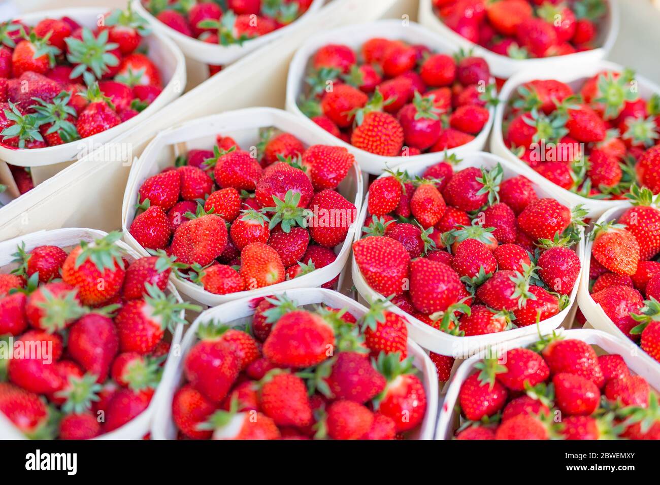 Viele Körbe mit frischen Erdbeeren zum Verkauf auf dem Bauernmarkt in der Nähe Stockfoto