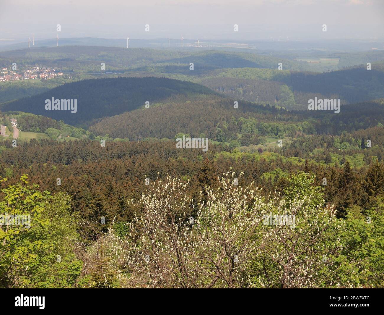 Blick vom Großen Feldberg (Hessen, Deutschland) Stockfoto