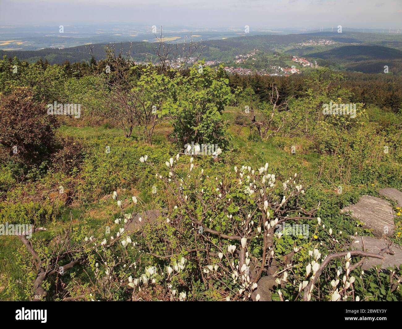 Blick vom Großen Feldberg (Hessen, Deutschland) Stockfoto