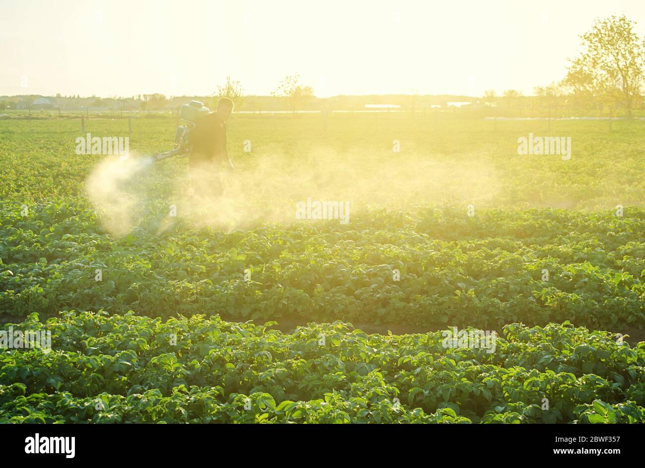 Landwirt Verarbeitung einer Kartoffelplantage mit einem Sprüher, um vor Insektenplagen und Pilzkrankheiten zu schützen. Rettung der Anlage. Landwirtschaft und Agrarindustrie, AGR Stockfoto
