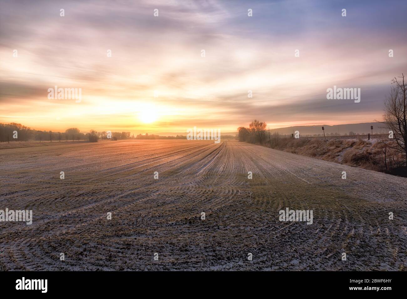 Ein gelb-violetter Sonnenaufgang über einem Feld im Winter Stockfoto