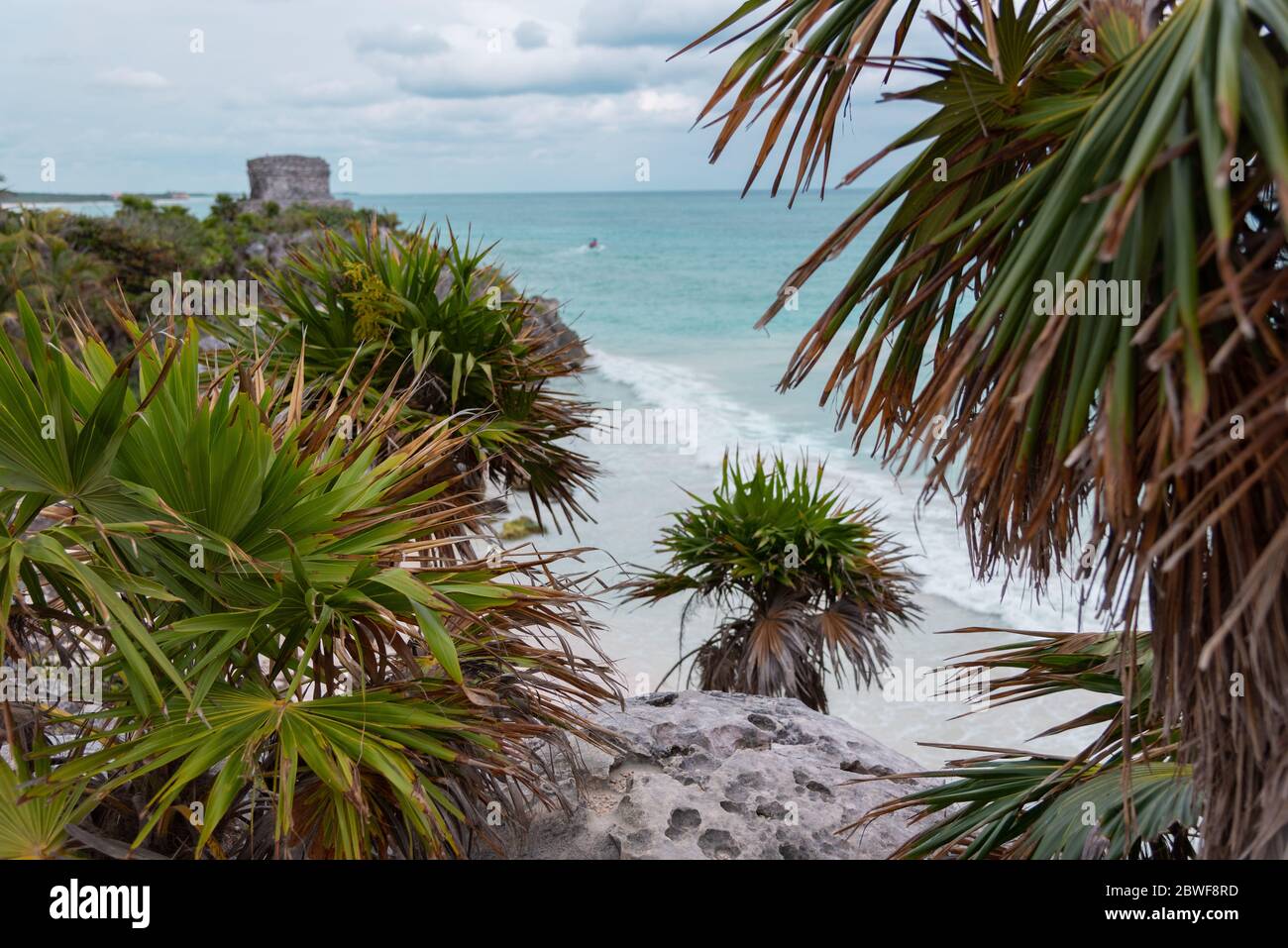 Alte Maya-Ruine mit dem türkisfarbenen Karibischen Meer Mexikos und Palmen im Hintergrund - Tulum, Mexiko (Reise- und Tourismus-Hotspot) Stockfoto