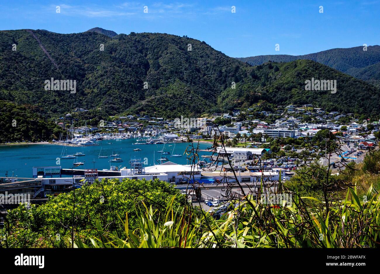 Picton Harbour, Marlborough Sounds, South Island, Neuseeland, Ozeanien. Stockfoto