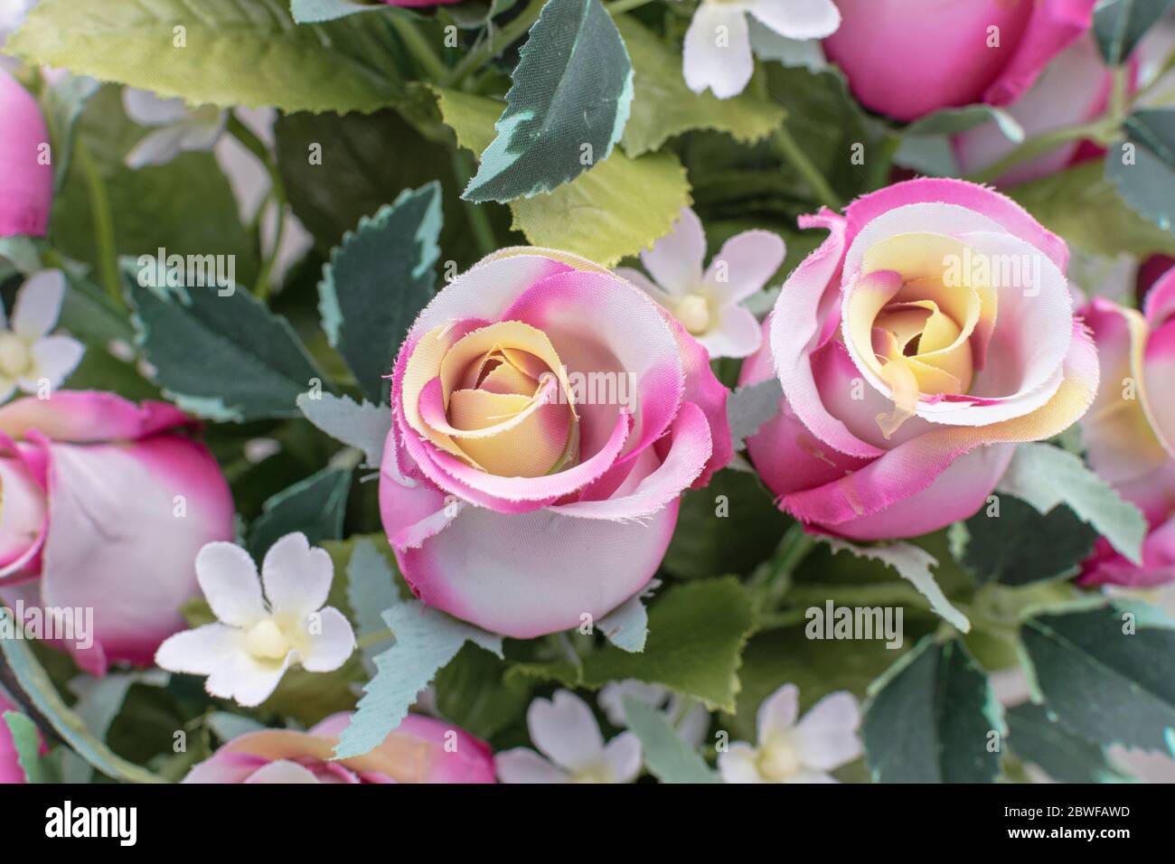 Falsche Rosen aus harten Stoffen, die Blumen sind vom Wetter beeinflusst Stockfoto